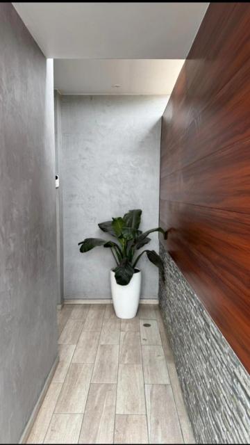 Independent Suite Apartment with Terrace