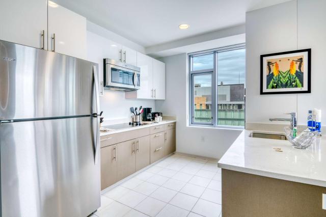 Luxury Apt Near Charles River