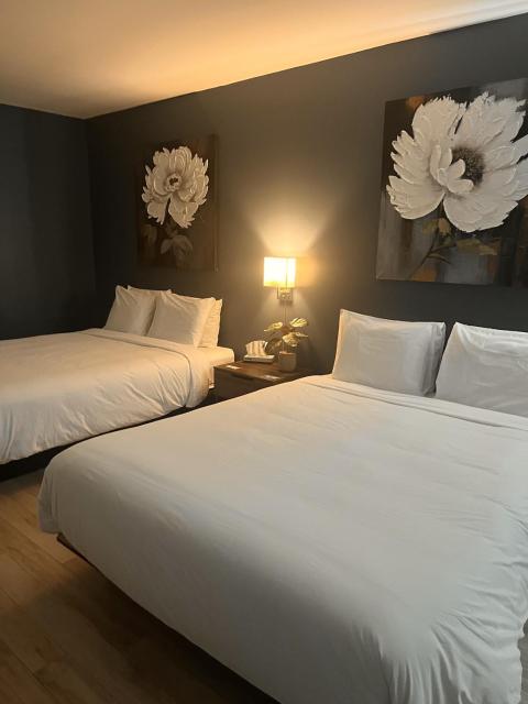 Hôtel Normandie