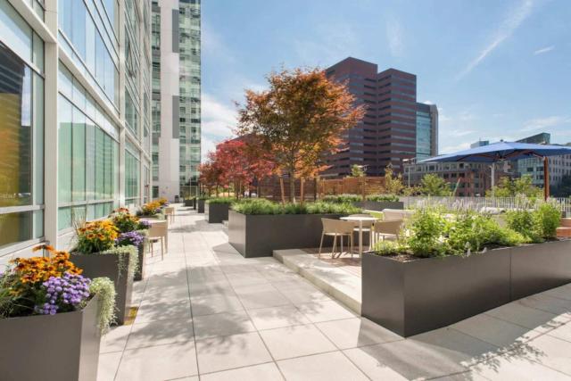 Modern Apt & Walk to Restaurants