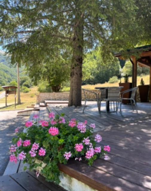 HOTEL CAMPO STELLA
