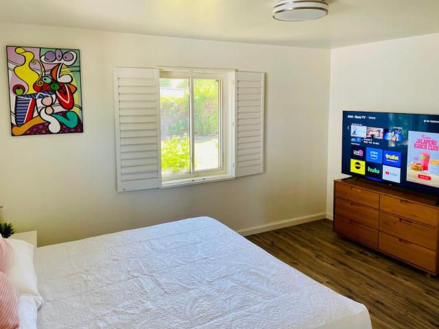 Mid centry Modern & Pool