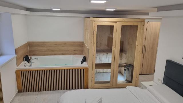 Jacuzzi & Sauna center room Zagreb