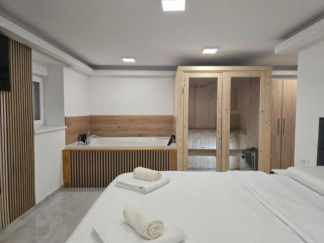 Jacuzzi & Sauna center room Zagreb