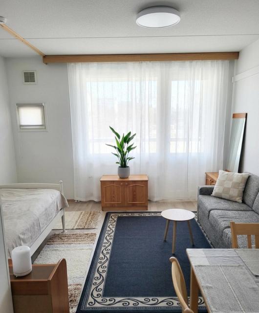 Cozy apartment in Toppila