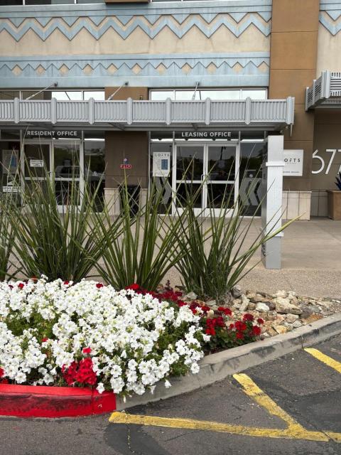 Modern 1BR at Westgate & Stadiums