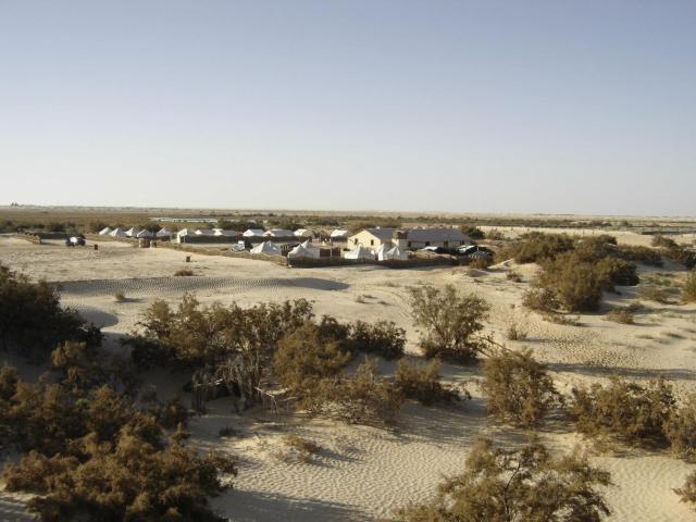 Campement Sahara Oasis Douz