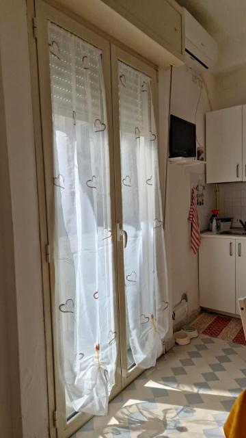 Tulipano Rimini