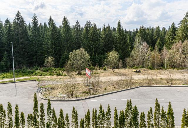 Woodland Apartment in Silver Mountain Resort