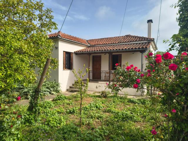 Feli's country house