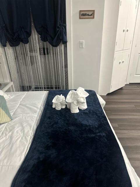 Cozy studio apartment with AC in Naples, just minutes from the beach