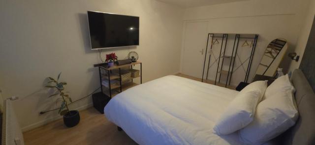 Grande chambre calme et confortable Centre Strasbourg Gare