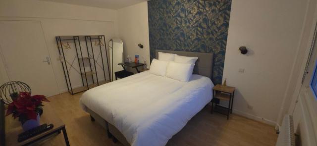 Grande chambre calme et confortable Centre Strasbourg Gare