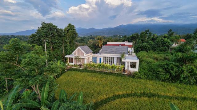 Brand New ! Villa Bella Lovina - Private Pool - Rice Field View