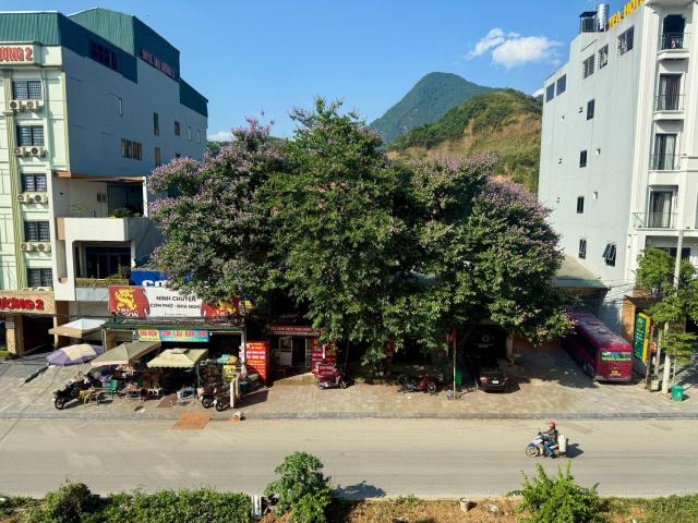 Ha Giang Safari Hostel & Tour