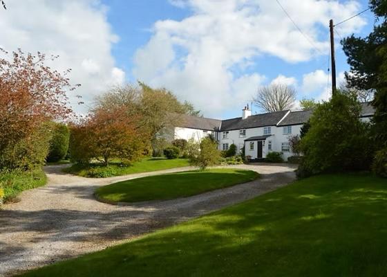 Pant y Rhedyn Glamping and camping site