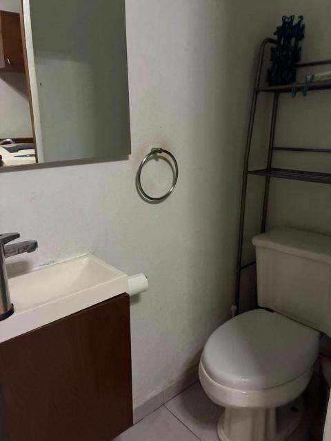 An excellent apartment to enjoy Mexico City