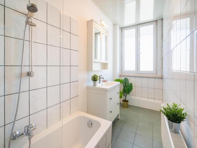 Large Antwerp City Center Apartments 2BB NS