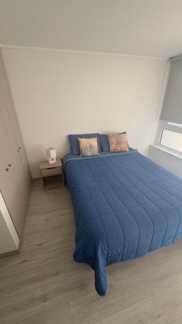 Stepke 313