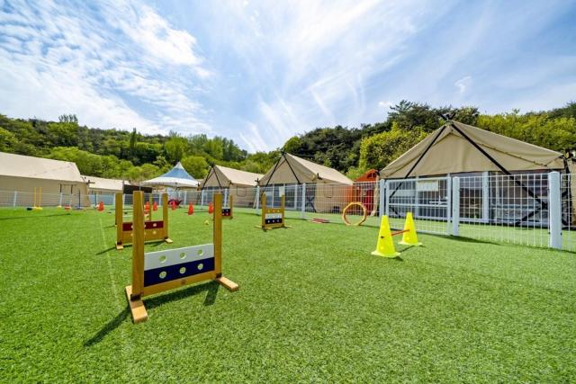 Cheongdo Shinnanda Aegyeon Glamping