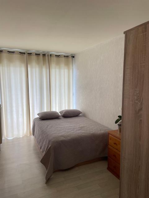 Idéal frontalier 15 min centre Geneve