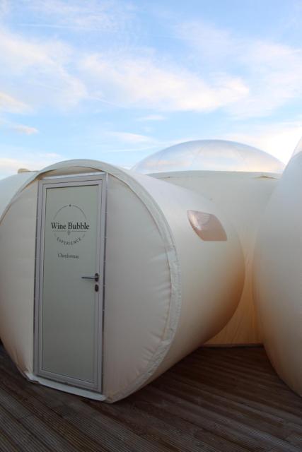Wine Bubble