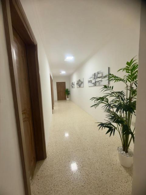3 Bdr Apart with Terrace 5 min walk to the beach