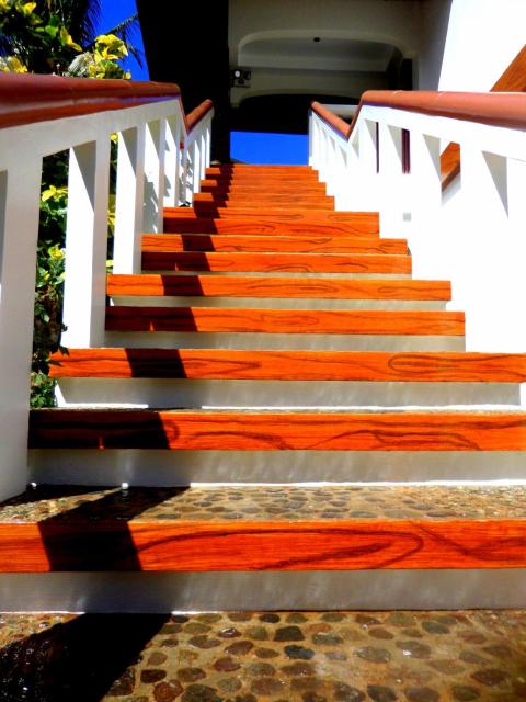 Oasis Resort and Spa