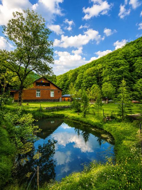 Cabana Tarța din Blidari 1