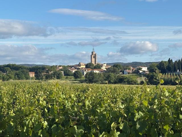 Écurie de l oasis
