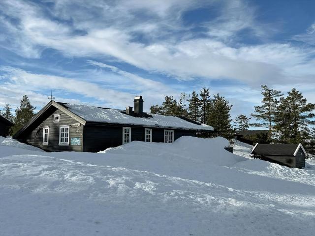 Modern Cabin With A Great Location On Blefjell