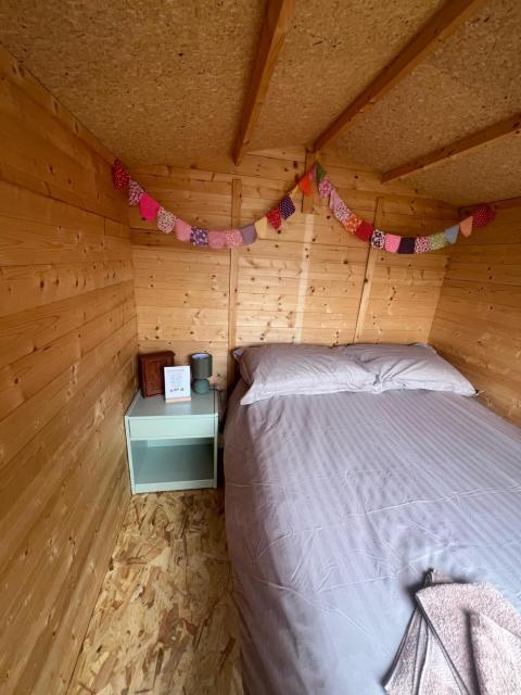 Cabane Taillis - Glamping on a Vineyard - Wooden Cabin