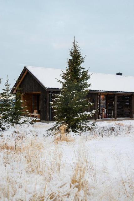 Unique Cabin With Great Natural Materials