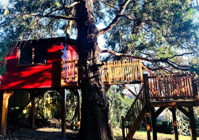 Maison de charme nichée dans le bois pour vivre une expérience unique