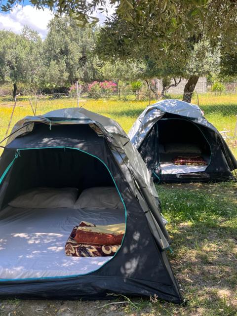 Waveside Camping