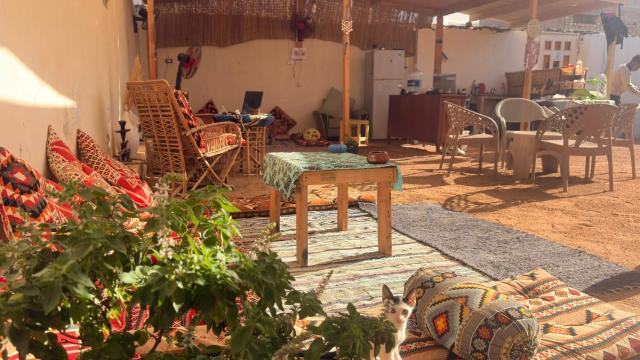 SafeZone Guesthouse