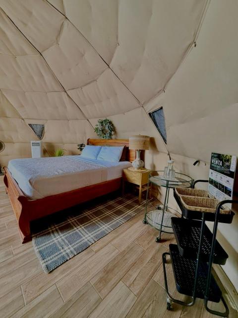 Tropical Escape Domes