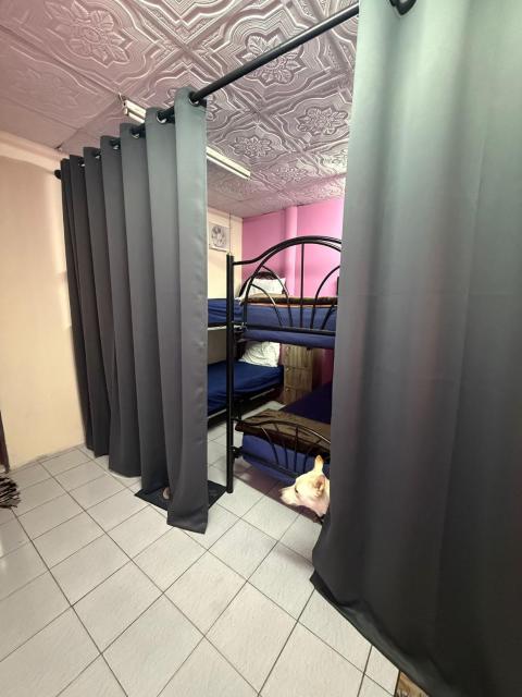 Pink Hostel