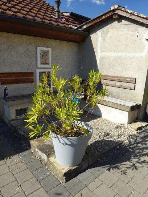 "Les Échalas" Charmante maison au coeur du Lavaux, Cully