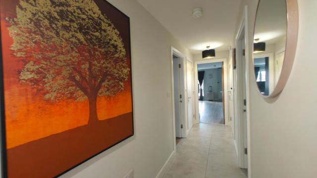 2BR Central Velvet Lime Aparment