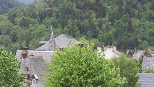 Auberge Les Volcans