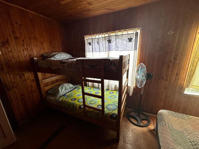 Hostal Palguin 261