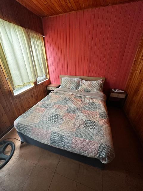 Hostal Palguin 261