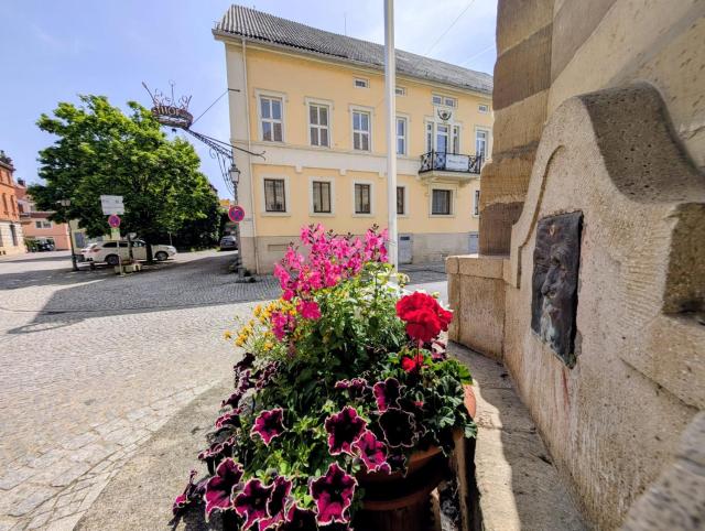 Serviced Rooms ''Krone''