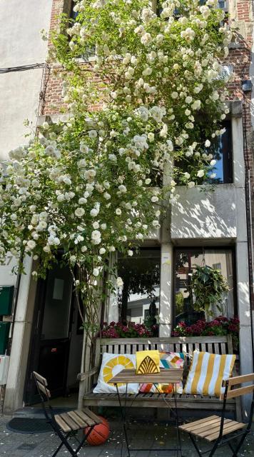 Unieke woning in het historisch stadscentrum