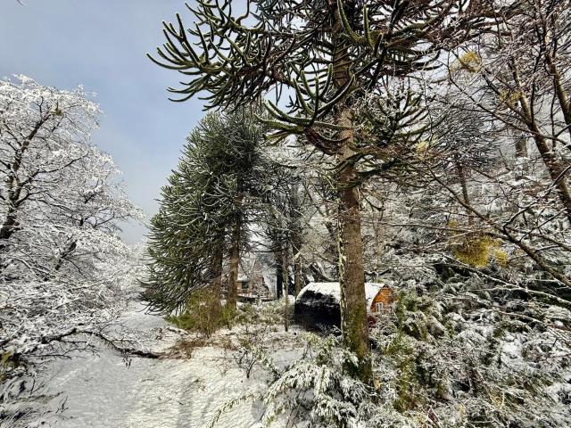 Lodge Alpina, Malalcahuello