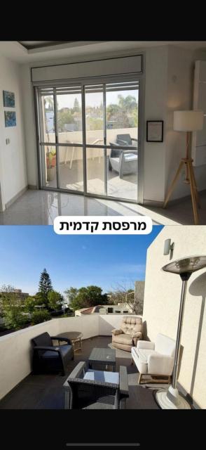 עומר סוויטה במדבר