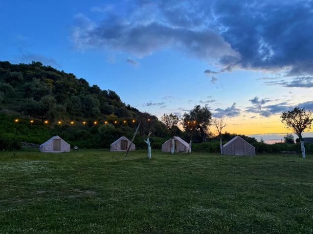 Camping Parknight Tents