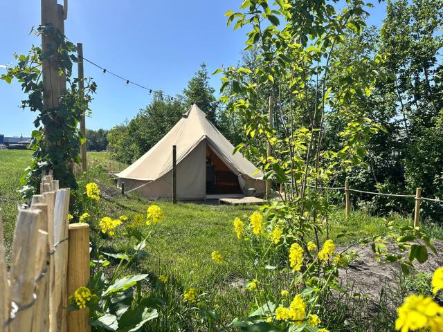 Glamping de Hof van Eeden