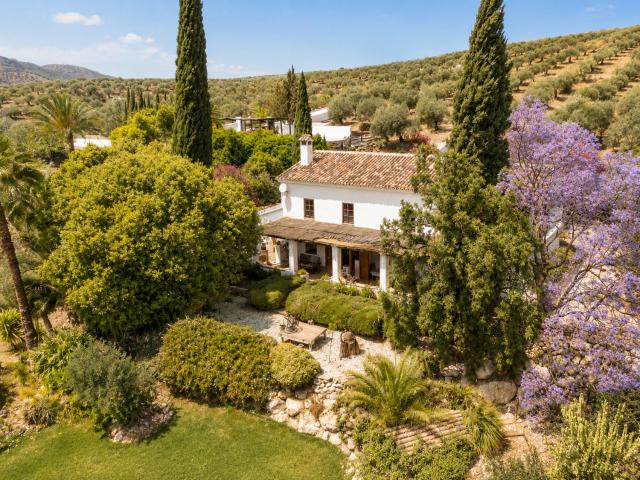 Finca Dariana Padel & Pool